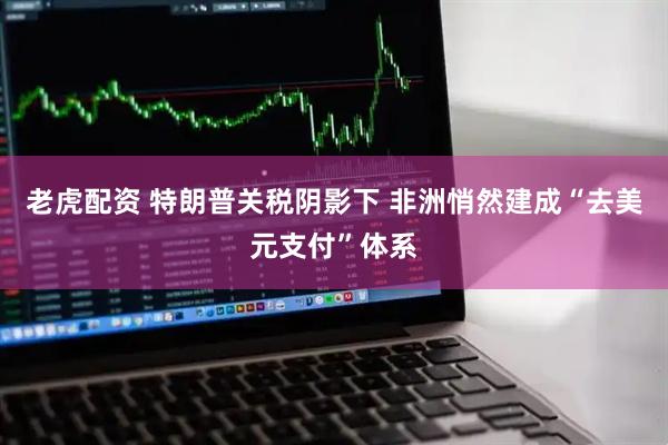 老虎配资 特朗普关税阴影下 非洲悄然建成“去美元支付”体系