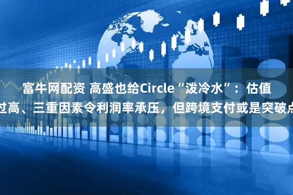 富牛网配资 高盛也给Circle“泼冷水”：估值过高、三重因素令利润率承压，但跨境支付或是突破点