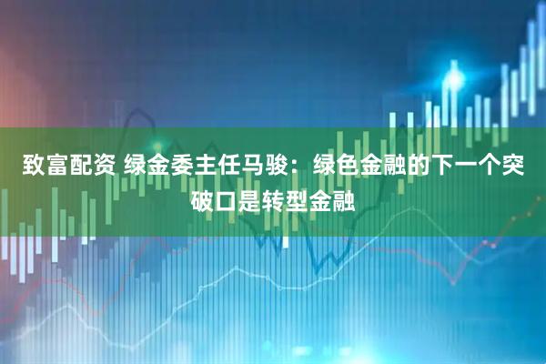 致富配资 绿金委主任马骏：绿色金融的下一个突破口是转型金融