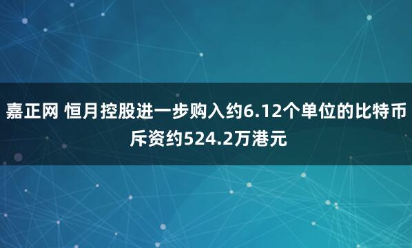 嘉正网 恒月控股进一步购入约6.12个单位的比特币 斥资约524.2万港元