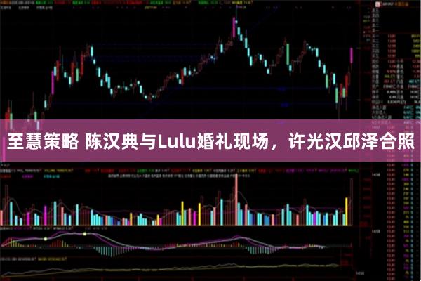 至慧策略 陈汉典与Lulu婚礼现场，许光汉邱泽合照